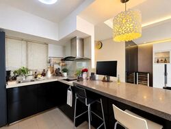 Blk 1E The Pinnacle@Duxton (Bukit Merah), HDB 4 Rooms #614171951